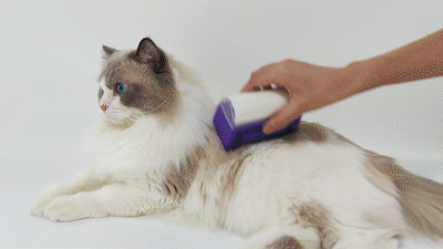 Pet Comb Automatic Hair Removal Comb Dog Self-cleaning Comb Cat and Dog Knotting Comb Pet Cleaning Supplies